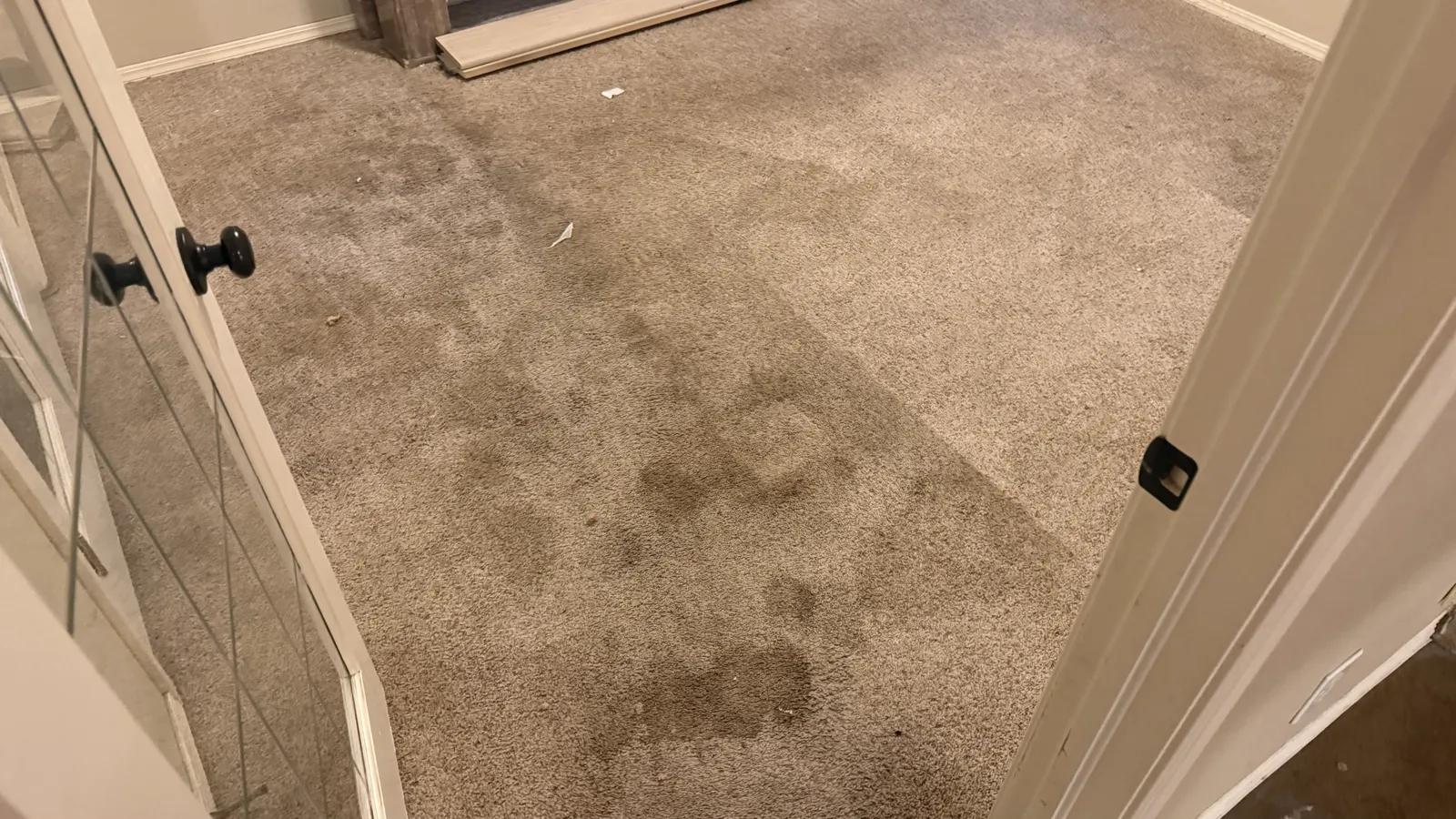 Carpet Extraction — before — Service Pros, Tulsa metro Oklahoma