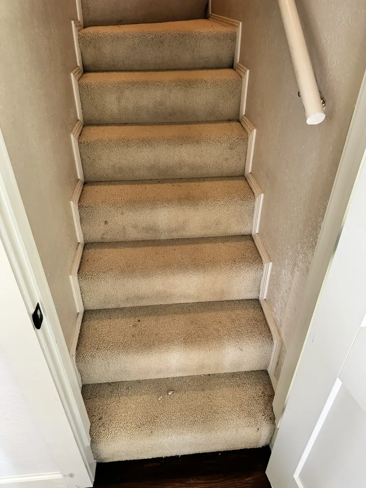 Carpet Extraction — before — Service Pros, Tulsa metro Oklahoma